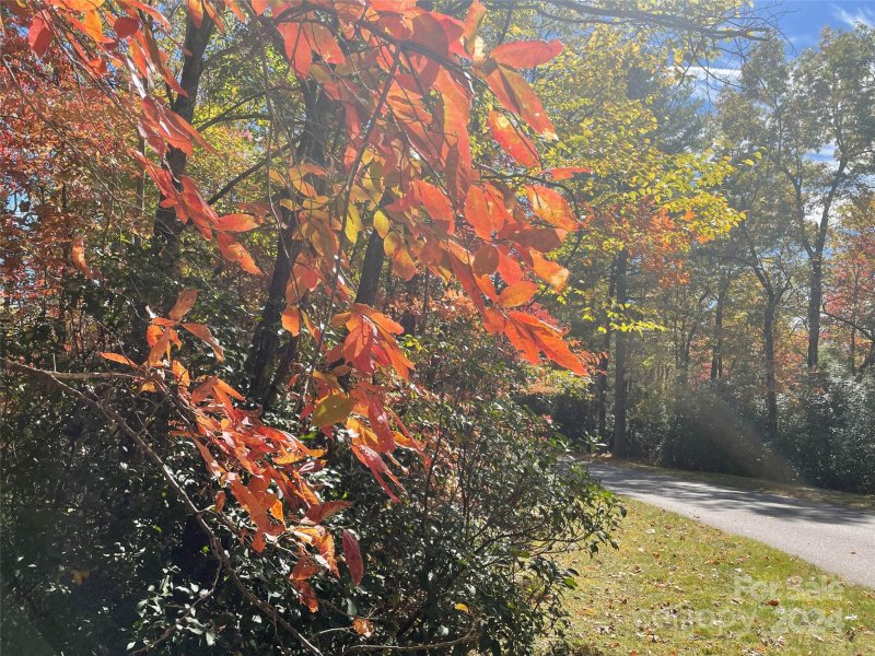 Property image 5 at 0000 Pine Mountain Trail, Brevard, NC 28712