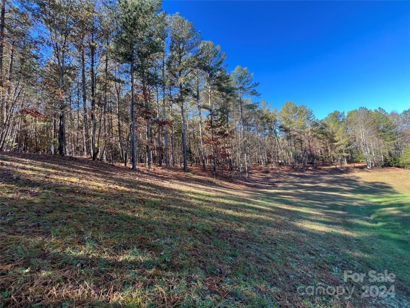 Property image 3 at 110 Rivercliff Drive, Connelly Springs, NC 28612