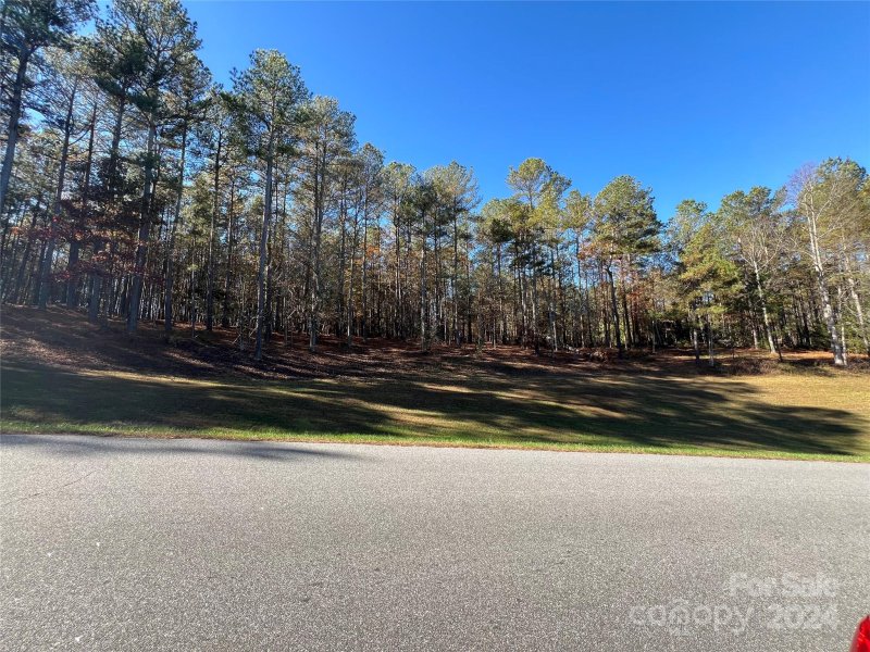 Property image 4 at 110 Rivercliff Drive, Connelly Springs, NC 28612