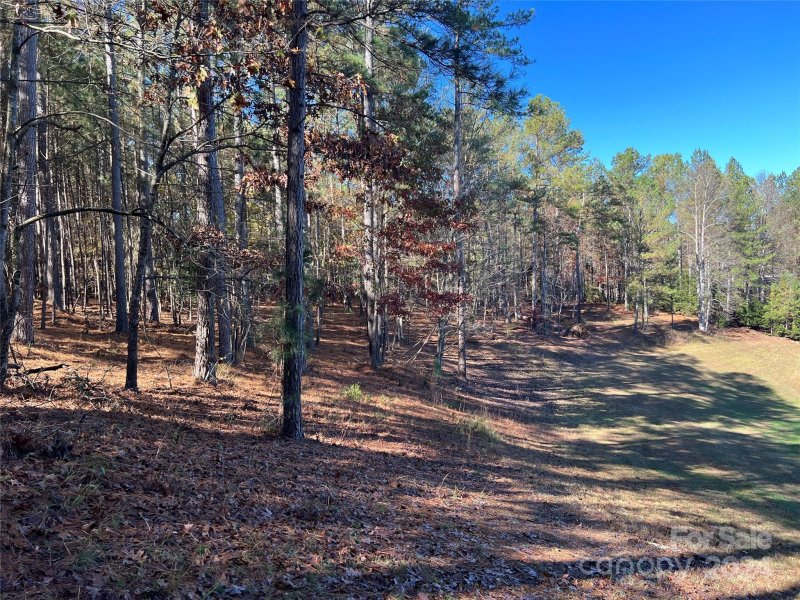 Property image 5 at 110 Rivercliff Drive, Connelly Springs, NC 28612