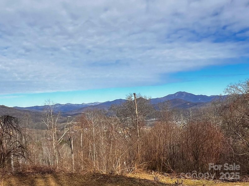 Property image 2 at 618 Billy Bob Trail, Waynesville, NC 28786