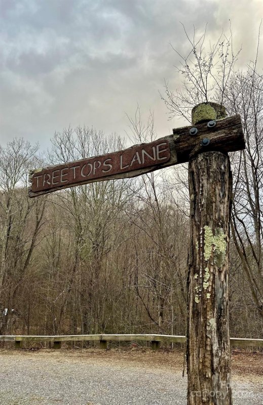 Property image 2 of 11 Treetops Lane in Wolf Creek Ranch, Clyde, NC 28721