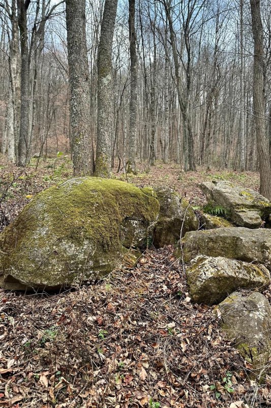 Property image 4 of 11 Treetops Lane in Wolf Creek Ranch, Clyde, NC 28721