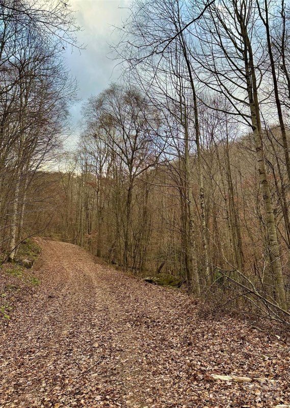 Property image 5 of 11 Treetops Lane in Wolf Creek Ranch, Clyde, NC 28721