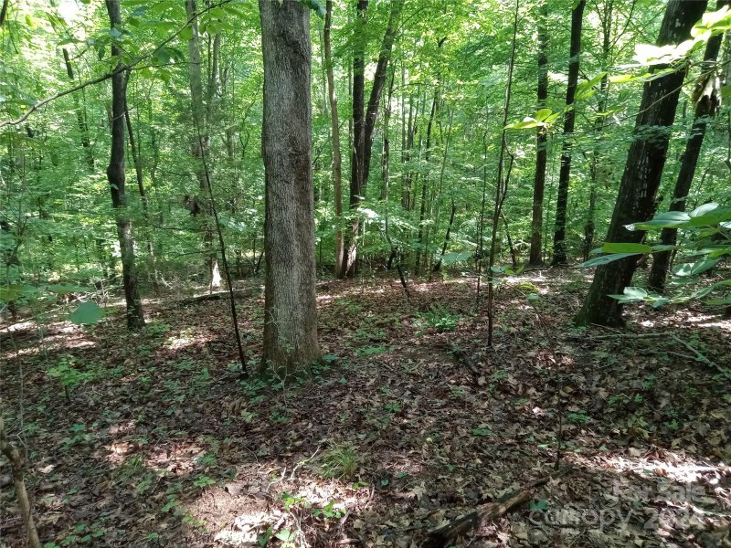 Property image 5 at Lot 26 Oxford Terrace Road, Weddington, NC 28104