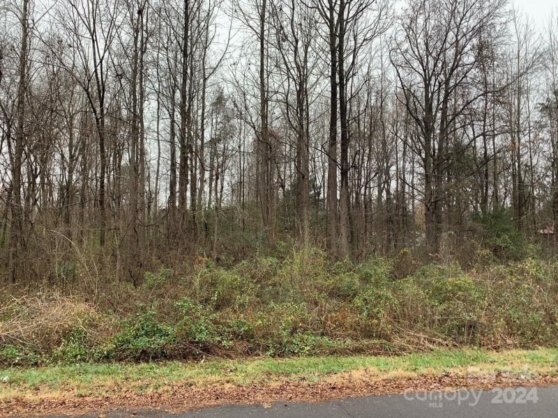 Property image 2 at 12321 Edna Drive, Huntersville, NC 28078