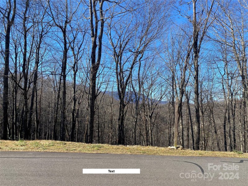 Property image 3 of Lot 3 Dragonfly Court in Mountain Brook Estates, Spruce Pine, NC 28714