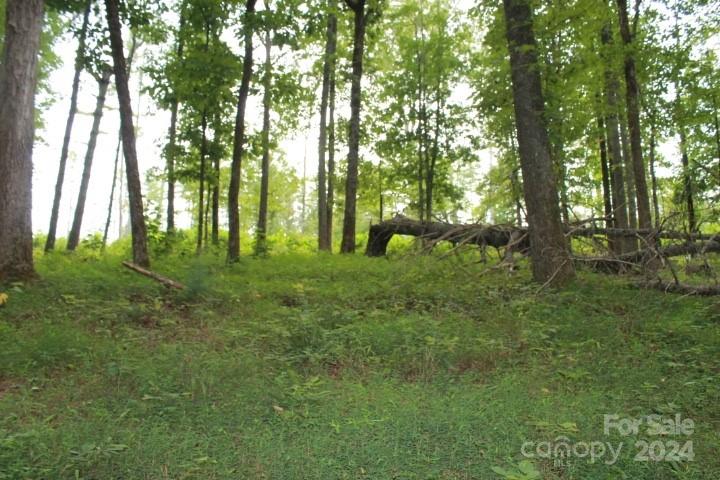 Property image 3 of 374 E Settings Boulevard in Lake Rhodhiss Estates, Valdese, NC 28690