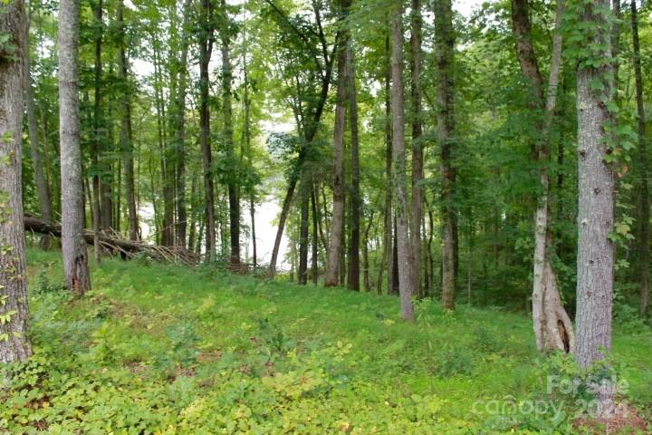 Property image 4 of 374 E Settings Boulevard in Lake Rhodhiss Estates, Valdese, NC 28690