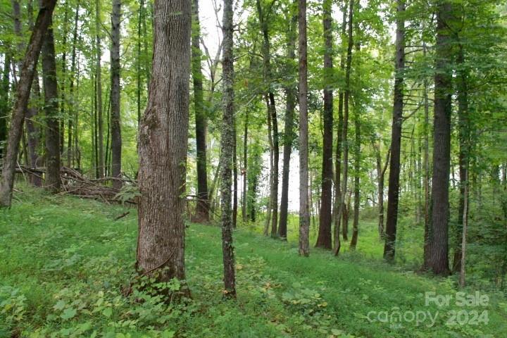 Property image 5 of 374 E Settings Boulevard in Lake Rhodhiss Estates, Valdese, NC 28690