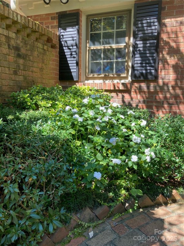 Property image 5 at 9104 Nolley Court, Charlotte, NC 28270