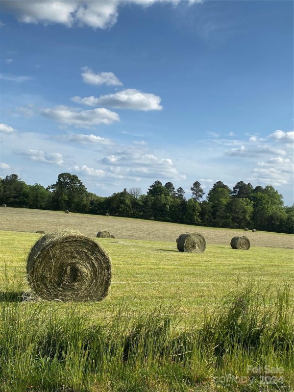 Property image 4 at Tbd Double Eagle Drive, Nebo, NC 28761