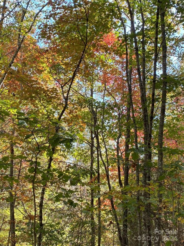 Property image 5 at Tbd Double Eagle Drive, Nebo, NC 28761