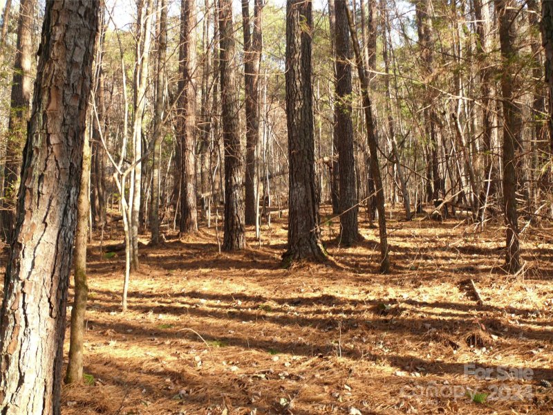 Property image 4 of Lot 1 Island Creek Road in The Peaks at Lake Lure, Lake Lure, NC 28746