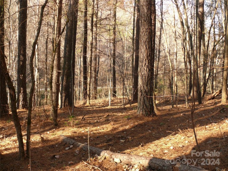 Property image 5 of Lot 1 Island Creek Road in The Peaks at Lake Lure, Lake Lure, NC 28746