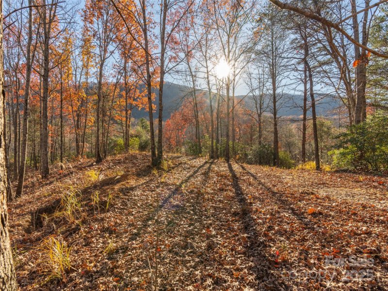 Property image 2 of 263 Nuthatch Lane in Creston, Black Mountain, NC 28711