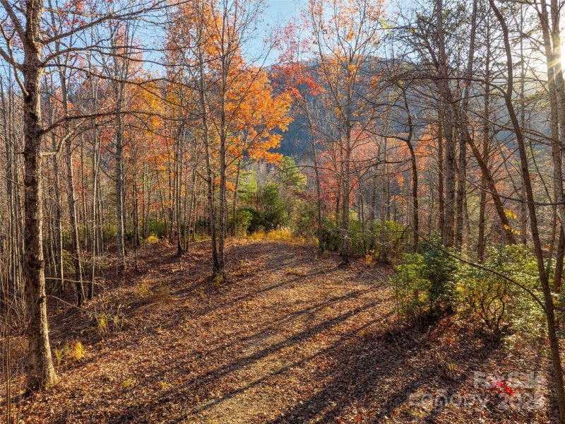 Property image 3 of 263 Nuthatch Lane in Creston, Black Mountain, NC 28711