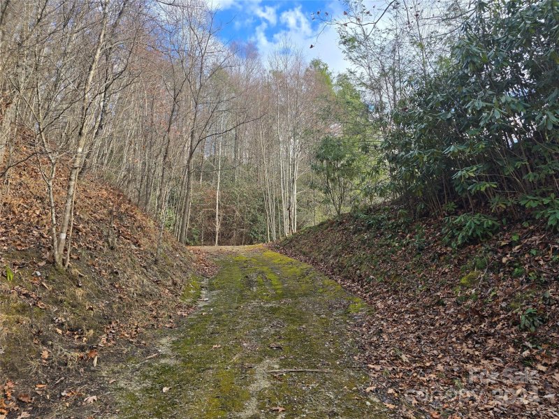 Property image 3 at 488 Rock House Cove Road, Clyde, NC 28721