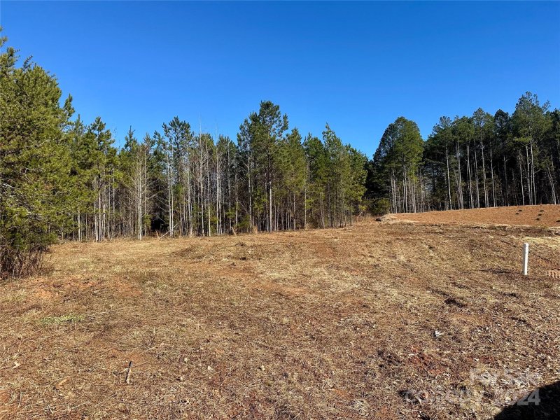 Property image 4 at 3154 Montreaux Valley Drive, Fort Mill, SC 29707