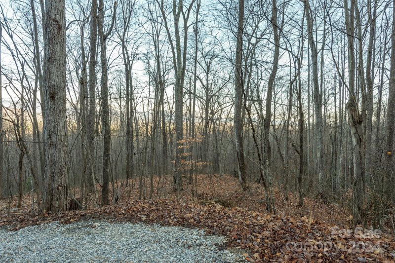 Property image 2 at Tbd Janice Way, Old Fort, NC 28762