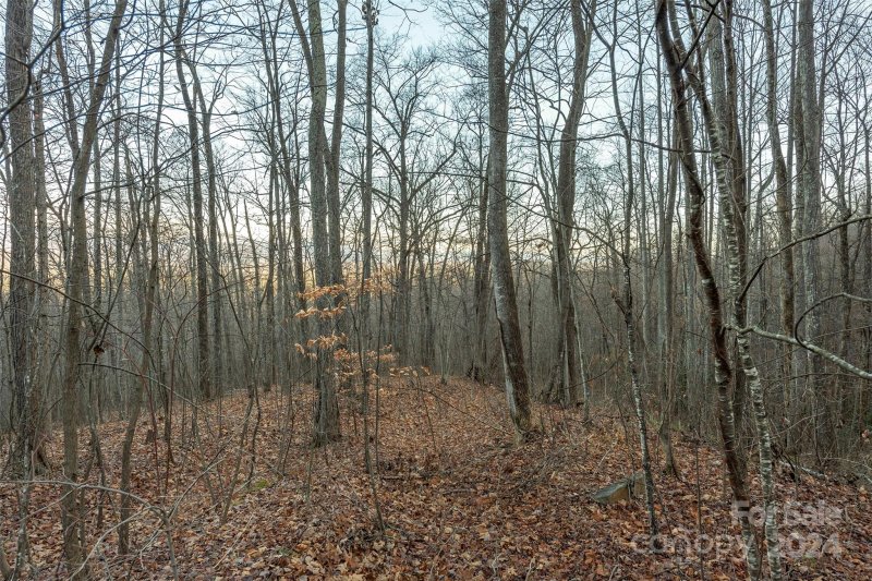 Property image 5 at Tbd Janice Way, Old Fort, NC 28762