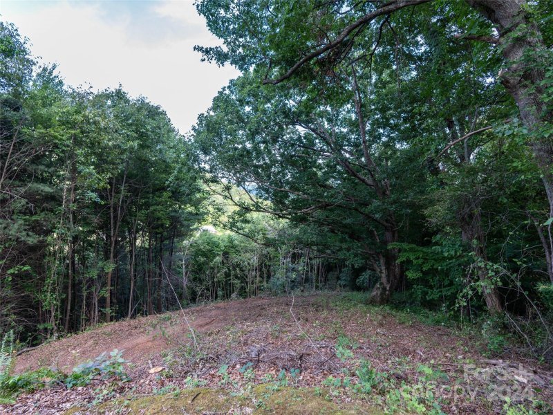 Property image 4 of Tbd Rimesdale Way in Junaluska Highlands, Waynesville, NC 28785