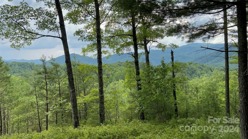 Property image 2 at 60 Longview Court, Marshall, NC 28753