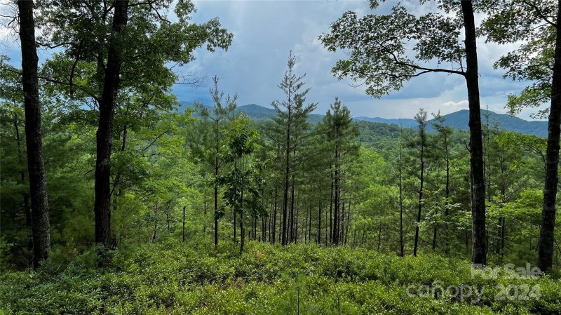 Property image 3 at 60 Longview Court, Marshall, NC 28753