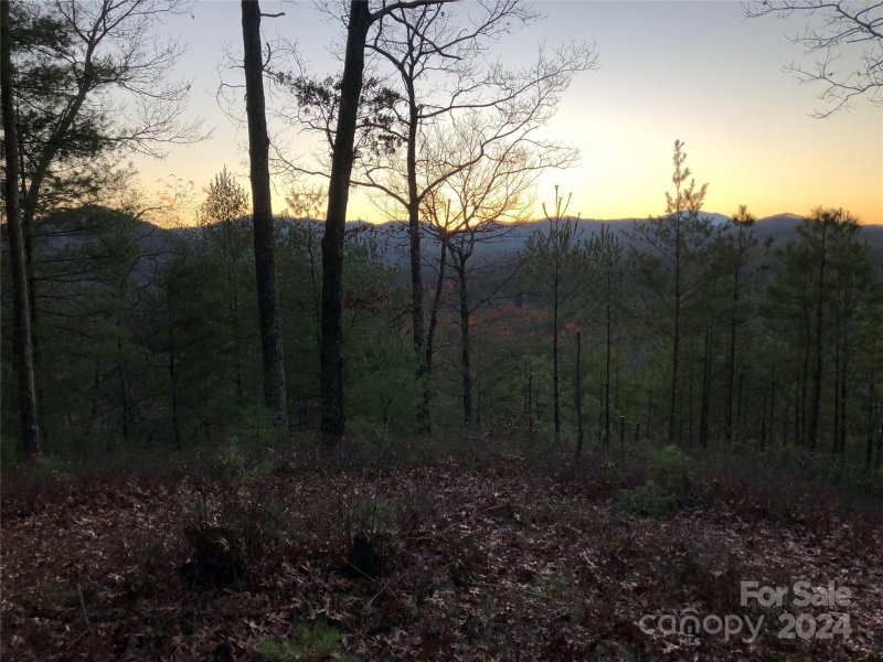 Property image 4 at 60 Longview Court, Marshall, NC 28753