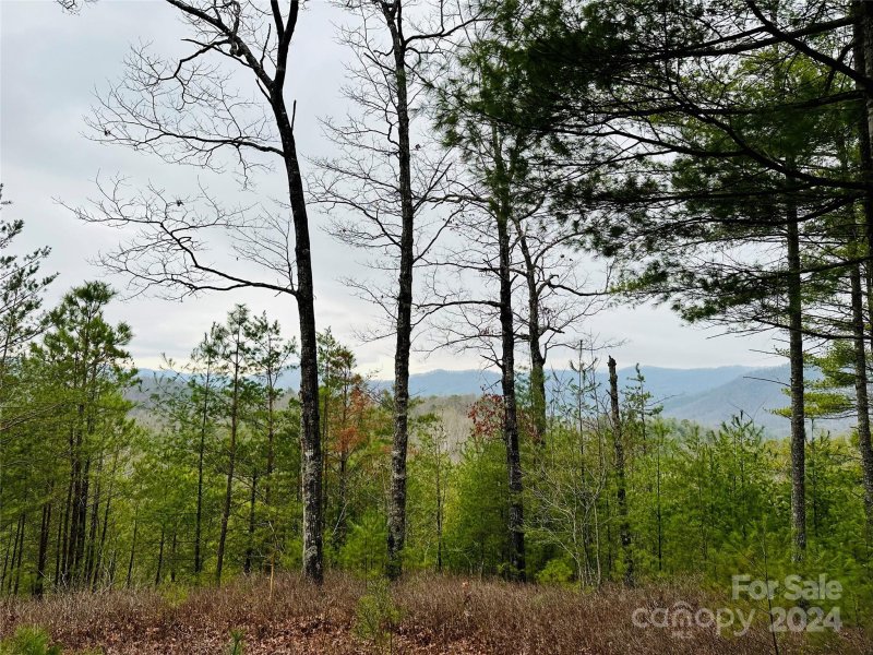 Property image 5 at 60 Longview Court, Marshall, NC 28753