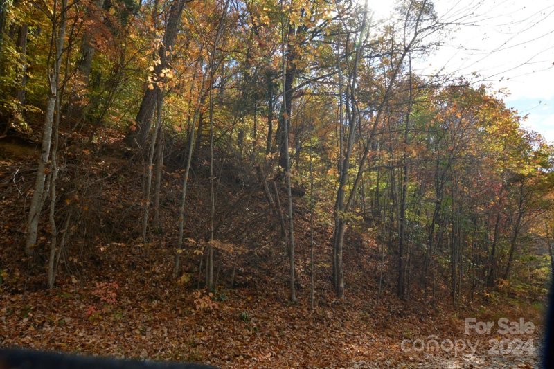 Property image 3 at 39 S Valley View Drive, Mars Hill, NC 28754
