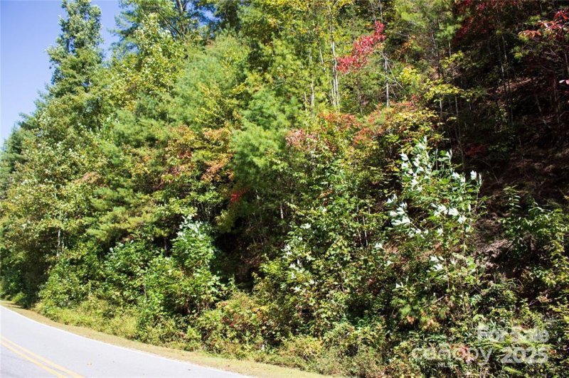 Property image 2 of Tbd Frozen Creek None in Oak Laurel, Brevard, NC 28712