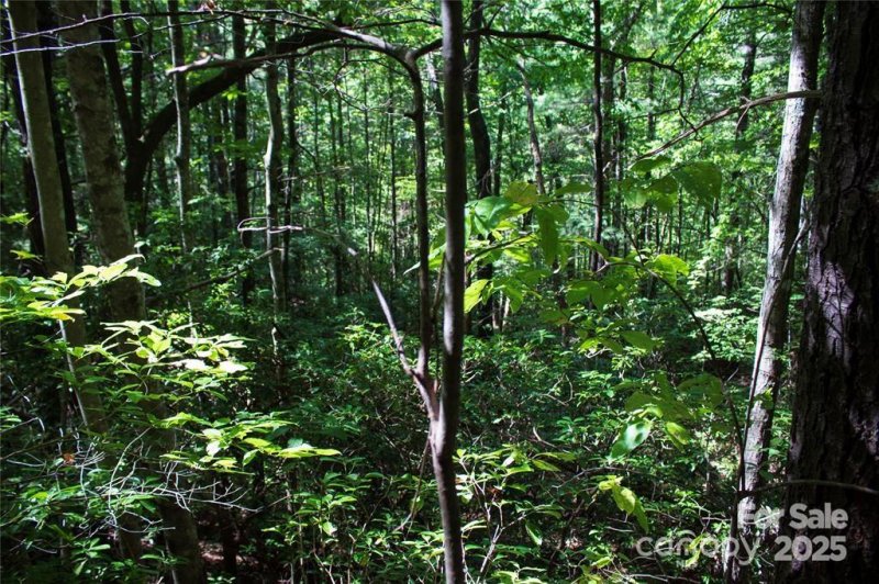 Property image 4 of Tbd Frozen Creek None in Oak Laurel, Brevard, NC 28712