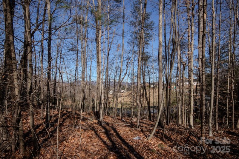 Property image 5 of Lot 80 Huntington Woods Street in Huntington Woods North, Lenoir, NC 28645