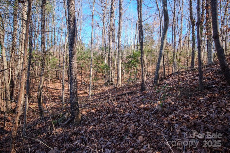 Property image 4 of 403 Huntington Woods Street in Huntington Woods North, Lenoir, NC 28645