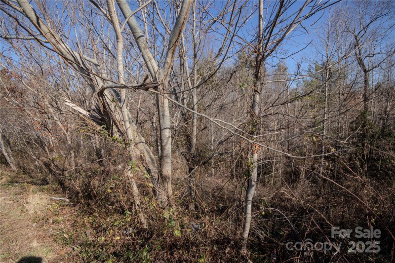 Property image 3 of 708 Chatsworth Circle in Huntington Woods North, Lenoir, NC 28645