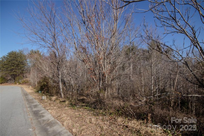 Property image 3 of 710 Chatsworth Circle in Huntington Woods North, Lenoir, NC 28645