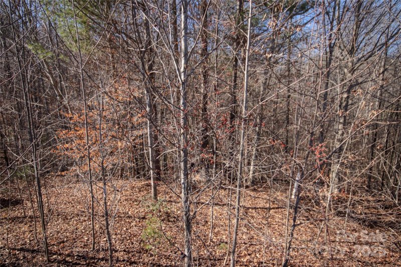 Property image 3 of 742 Chatsworth Circle in Huntington Woods North, Lenoir, NC 28645