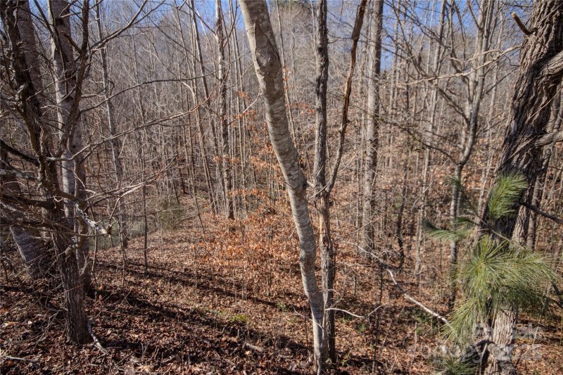 Property image 3 of 746 Chatsworth Circle in Huntington Woods North, Lenoir, NC 28645