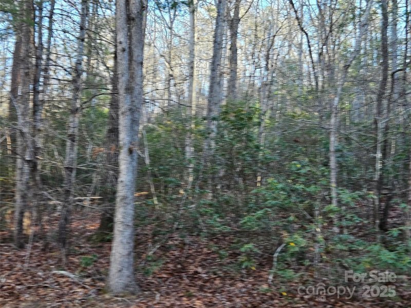 Property image 2 at 0 Roadrunner Circle, Lake Lure, NC 28746
