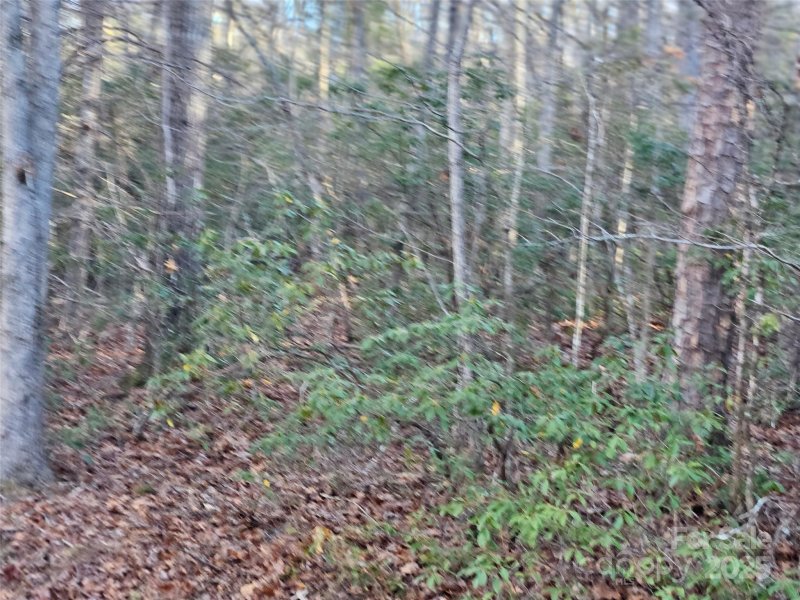 Property image 3 at 0 Roadrunner Circle, Lake Lure, NC 28746