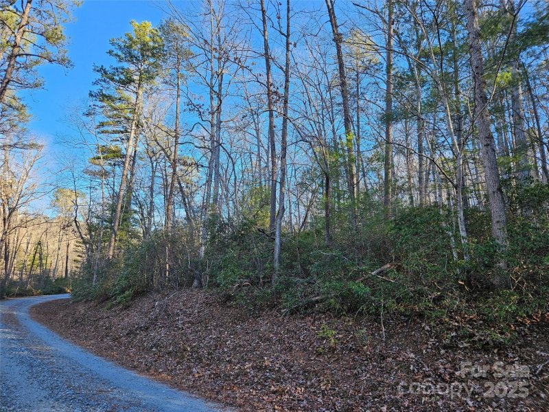 Property image 4 at 0 Roadrunner Circle, Lake Lure, NC 28746
