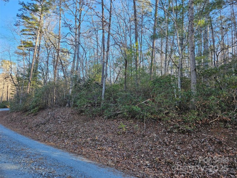 Property image 5 at 0 Roadrunner Circle, Lake Lure, NC 28746