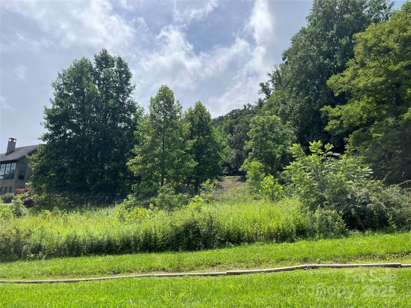 Property image 2 of 37 Bear Flower Trail in The Cliffs At Walnut Cove, Arden, NC 28704