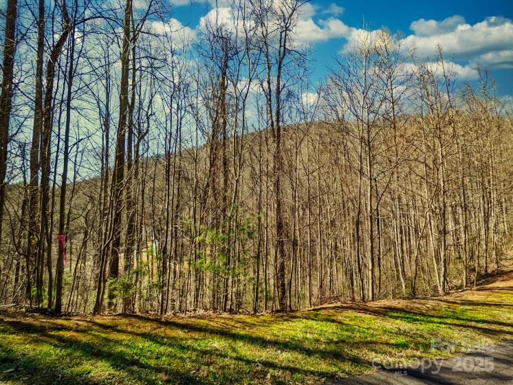 45 Ashewood Mountain Way