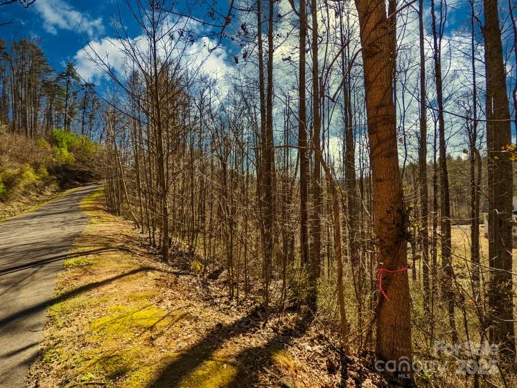 Property image 2 at 45 Ashewood Mountain Way, Candler, NC 28715