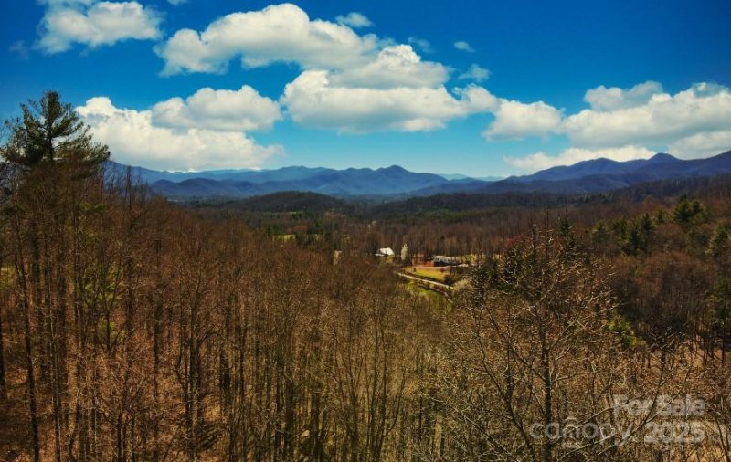 Property image 3 at 45 Ashewood Mountain Way, Candler, NC 28715