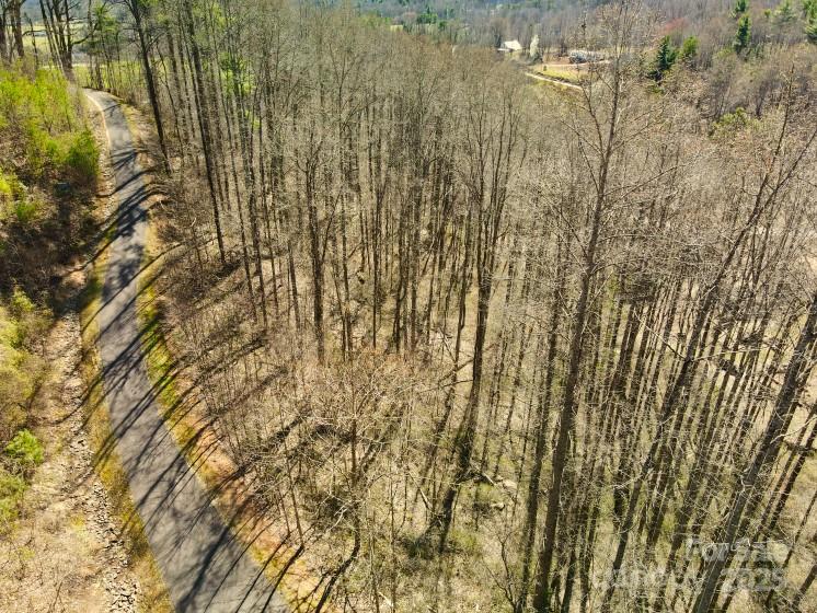 Property image 4 at 45 Ashewood Mountain Way, Candler, NC 28715