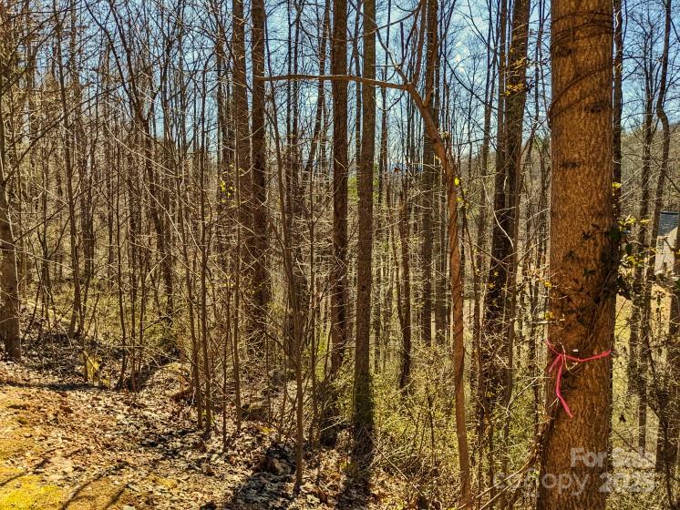 Property image 5 at 45 Ashewood Mountain Way, Candler, NC 28715