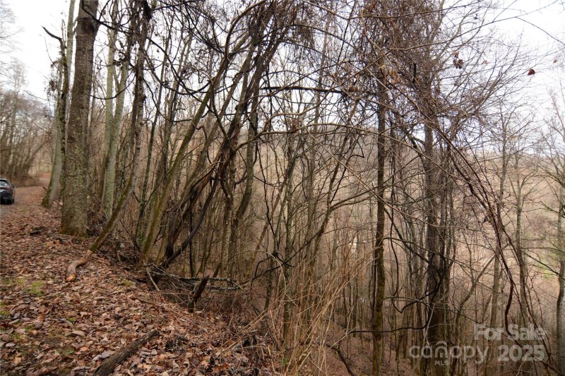 Property image 2 of 000 Jacks Knob Road in Green Ridge Falls, Barnardsville, NC 28709